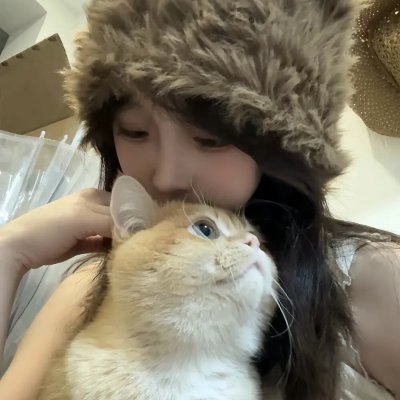 七彩狗 海报