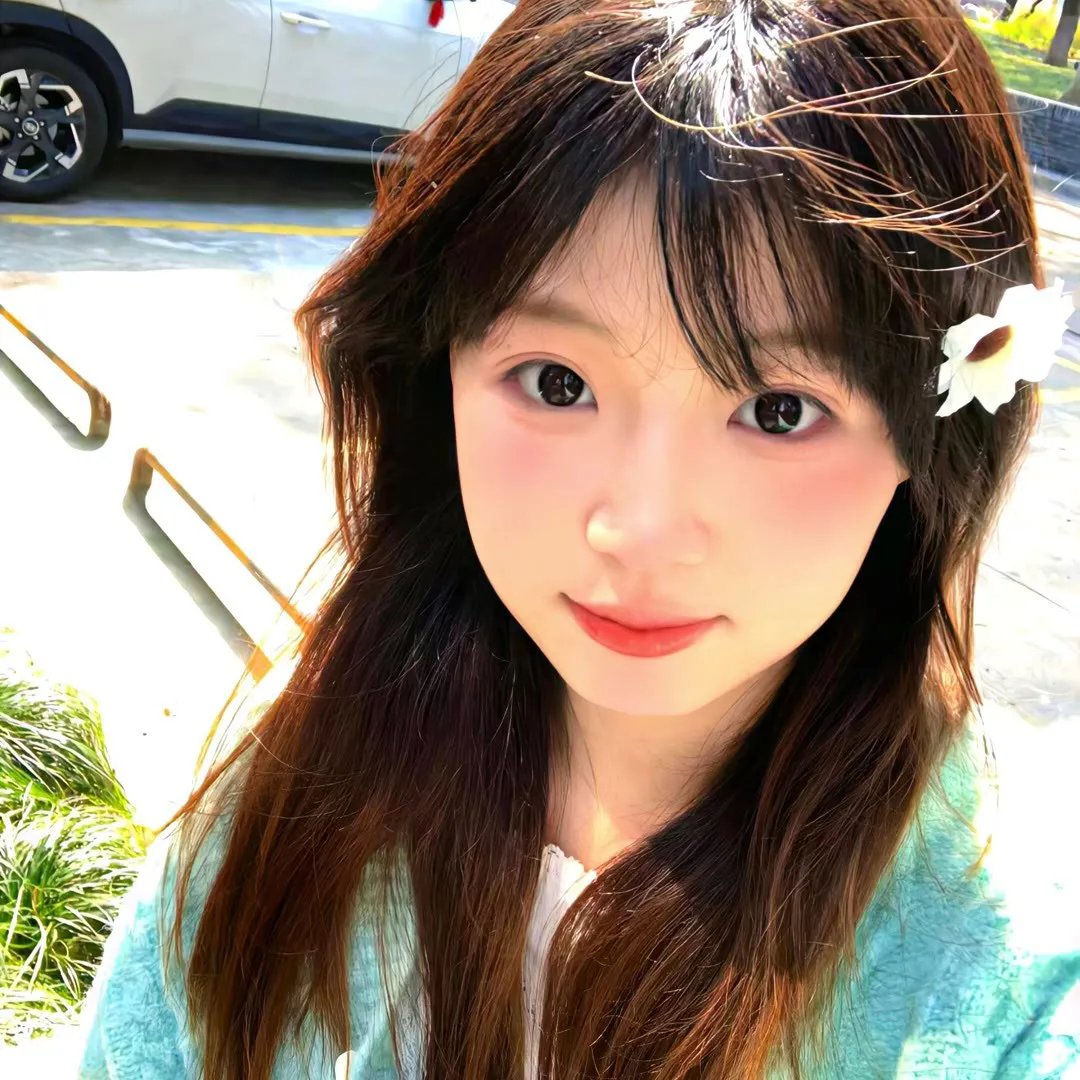 酷爱电影的庞波小姐 海报